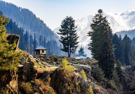 Soul of the Valley: Jammu & Kashmir Discovery Tour