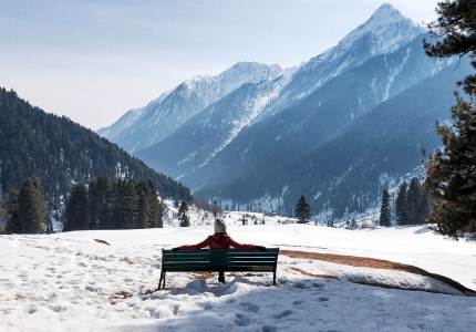 Capital to Kashmir: Chandigarh to Srinagar Scenic Drive