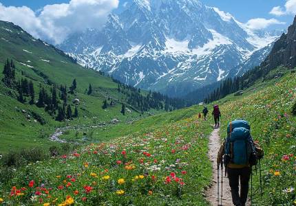 Soul of the Valley: Jammu & Kashmir Discovery Tour