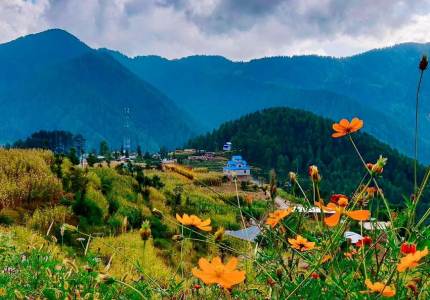 Jammu Taxi Service